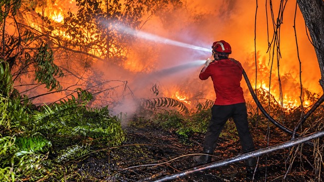 占碑省300亿印尼盾森林和土地火灾处理资金尚未动用 须先纳入地方预算修订案