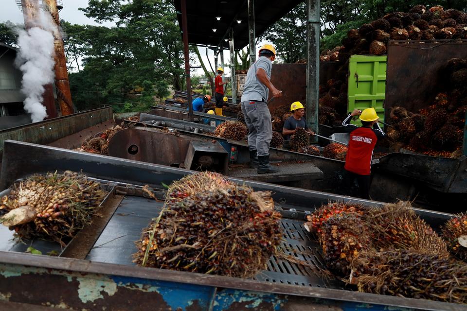 印尼棕榈油业2027年面临EUDR、生物柴油与厄尔尼诺多重挑战