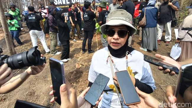 印尼IKN管理局处罚一棕榈油企业 涉森林和土地火灾